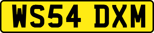 WS54DXM