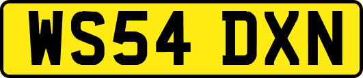 WS54DXN