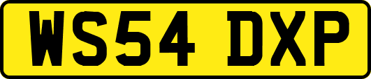 WS54DXP