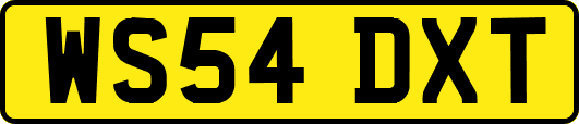 WS54DXT