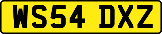 WS54DXZ