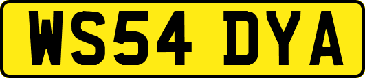 WS54DYA