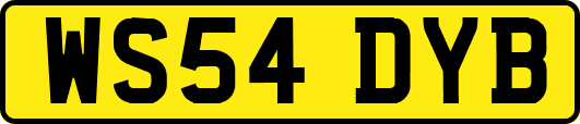 WS54DYB