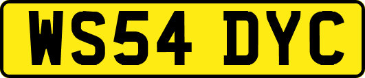 WS54DYC
