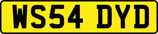 WS54DYD