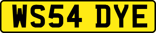 WS54DYE