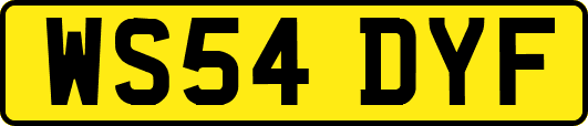 WS54DYF