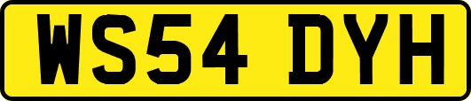 WS54DYH