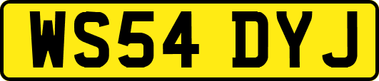 WS54DYJ