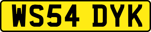 WS54DYK