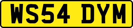 WS54DYM