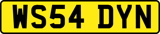 WS54DYN