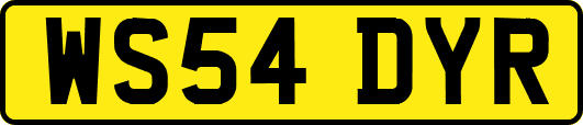 WS54DYR