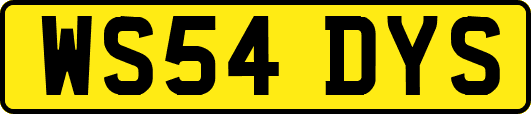 WS54DYS