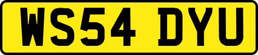 WS54DYU