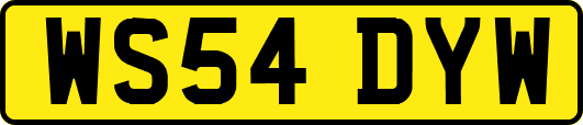 WS54DYW