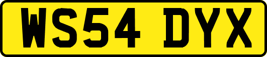 WS54DYX