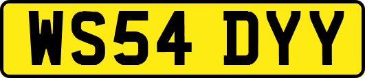 WS54DYY