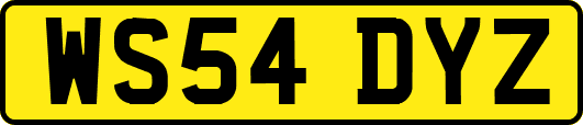 WS54DYZ