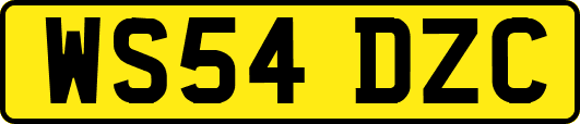 WS54DZC