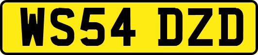 WS54DZD