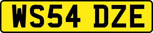 WS54DZE