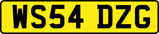 WS54DZG