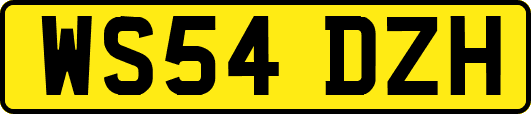 WS54DZH