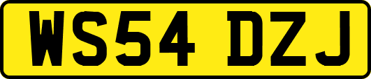 WS54DZJ