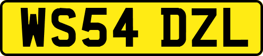 WS54DZL