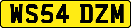 WS54DZM
