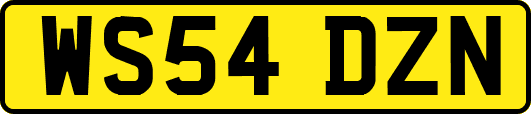 WS54DZN