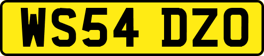WS54DZO