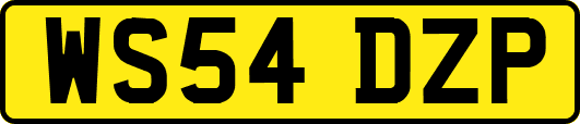 WS54DZP