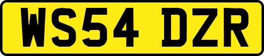 WS54DZR