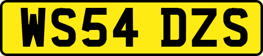 WS54DZS