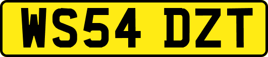 WS54DZT