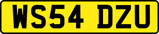WS54DZU