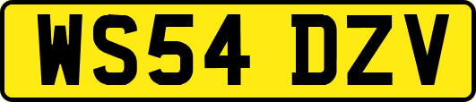 WS54DZV