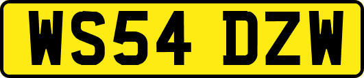 WS54DZW