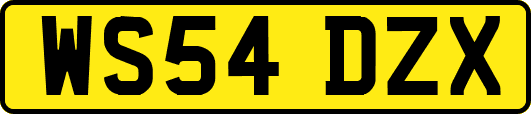 WS54DZX
