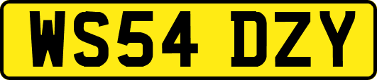 WS54DZY