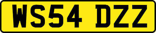 WS54DZZ