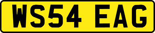 WS54EAG