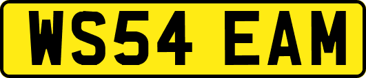 WS54EAM