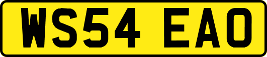WS54EAO