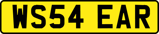 WS54EAR
