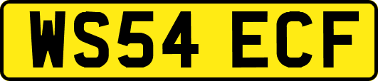 WS54ECF