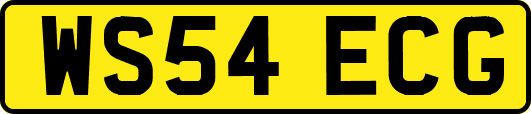 WS54ECG