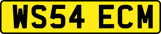 WS54ECM